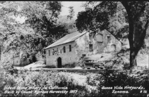 Buena Vista, California's First Winery